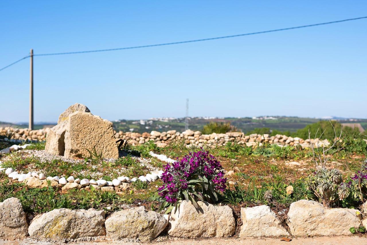 Las Ninas Vejer de la Frontera Exterior foto