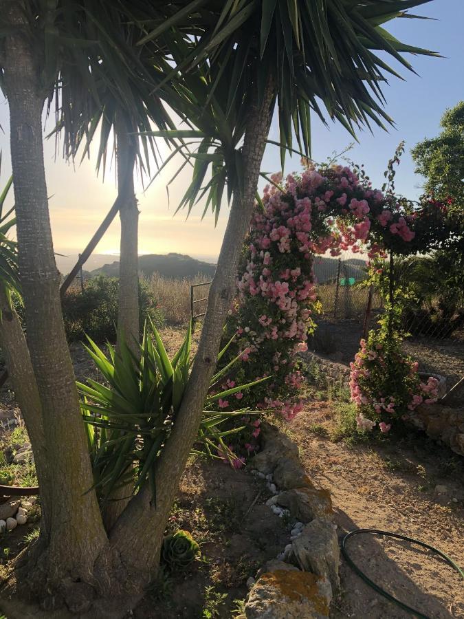 Las Ninas Vejer de la Frontera Exterior foto